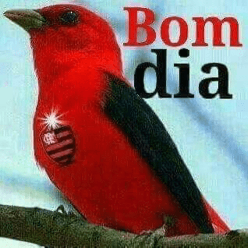 SOBERBA E ARROGÂNCIA 10