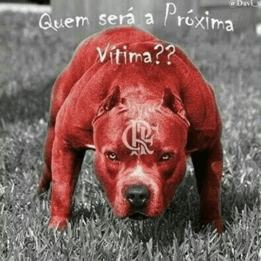 SOBERBA E ARROGÂNCIA 9