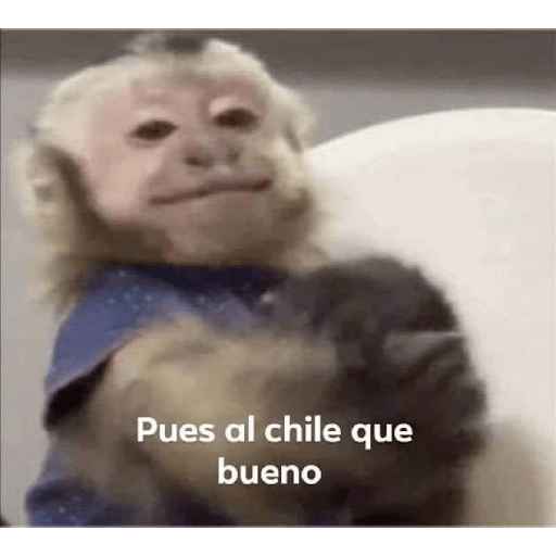 Nuevos random 23