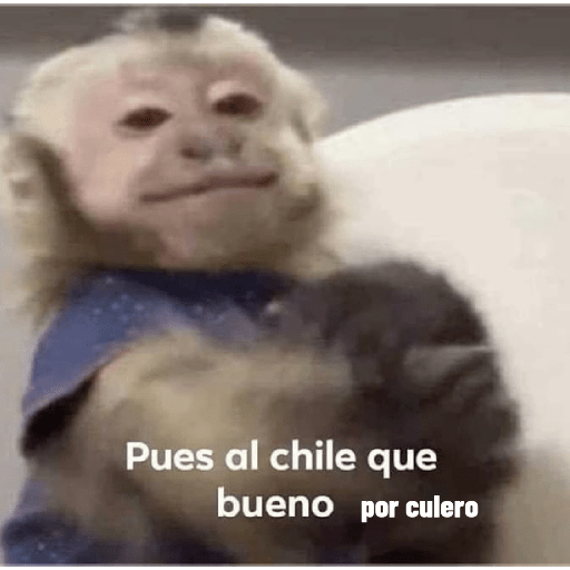 Nuevos random 22