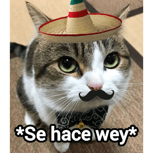 Nuevos random 18