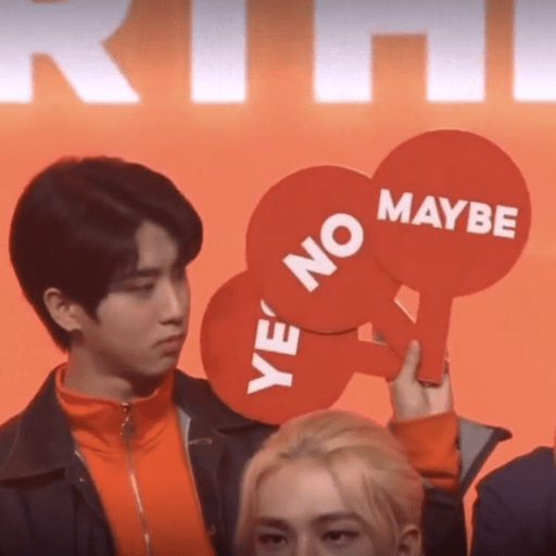 Stray kids  14