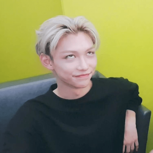 Stray kids  7