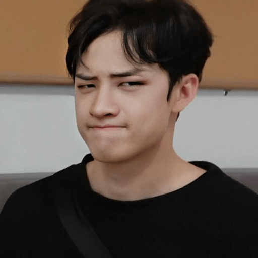 Stray kids  26
