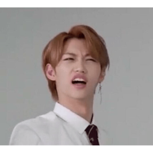 Stray kids  19