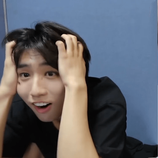 Stray kids  30