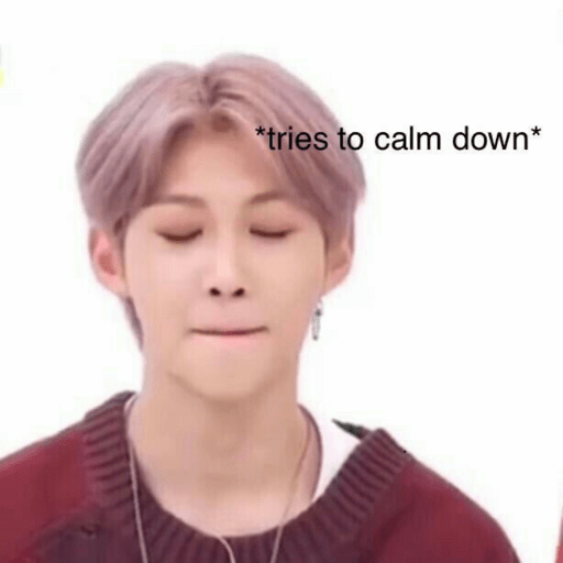 Stray kids  29