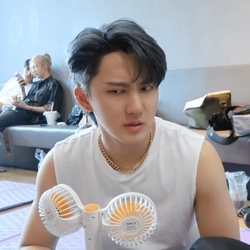 Stray kids  6