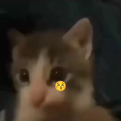 Gatitos-animados2 24