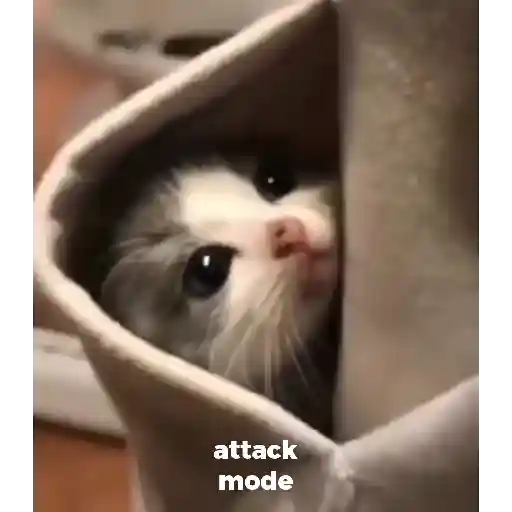 Gatitos-animados2 21