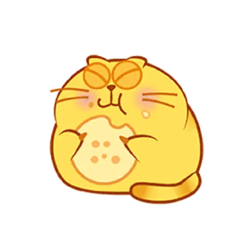Fat cat 23