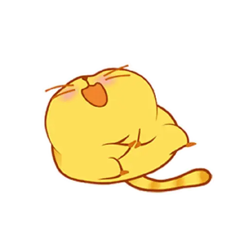 Fat cat 24