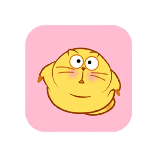 Fat cat 11