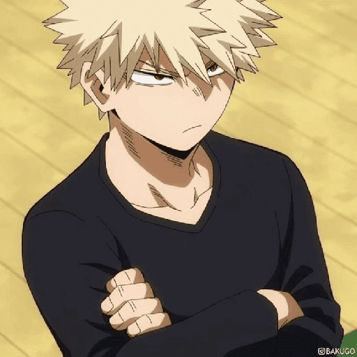 Katsuki Bakugo  27