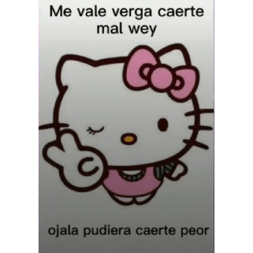 Sanrio? mayormente hello Kitty 11
