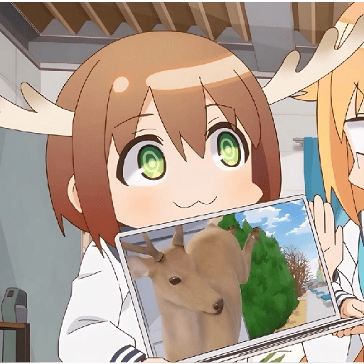 NEKOTAN!  24