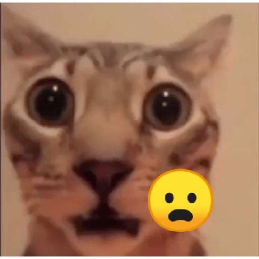 Thhj 5