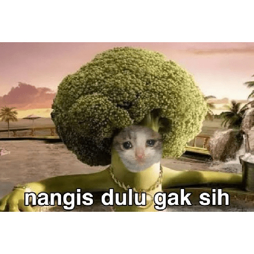 Thhj 7