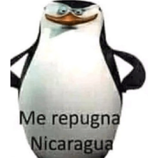 Tu madre 16 :D 13