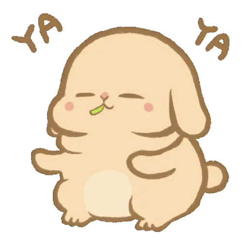 Mocha Holland lop Bunny 🤎 3
