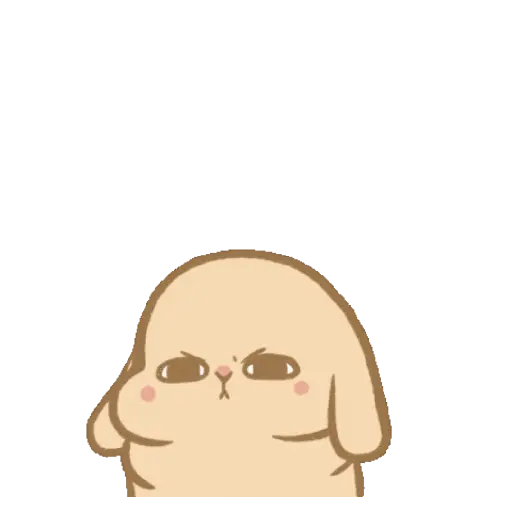 Mocha Holland lop Bunny 🤎 11