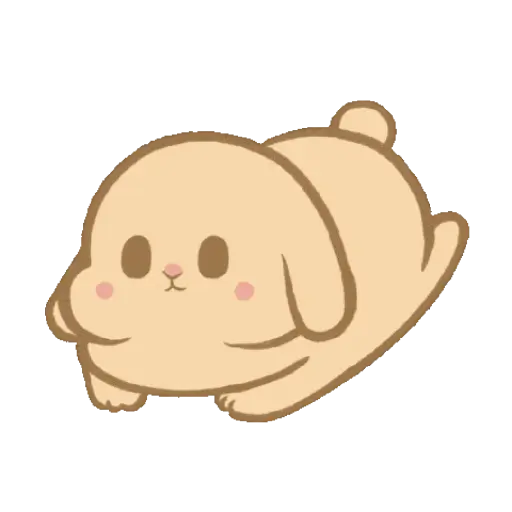 Mocha Holland lop Bunny 🤎 9