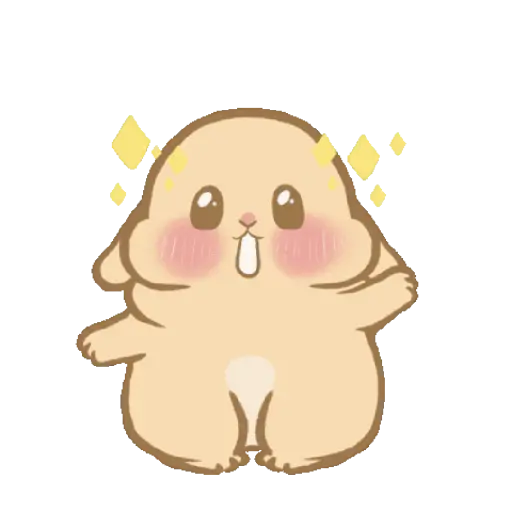 Mocha Holland lop Bunny 🤎 6