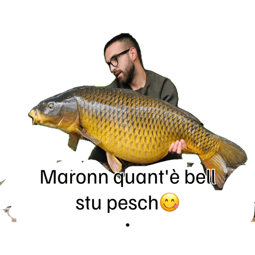 I miei adesivi 9