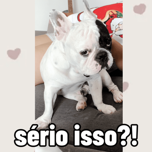 Minhas figurinhas 7