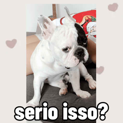 Minhas figurinhas 6