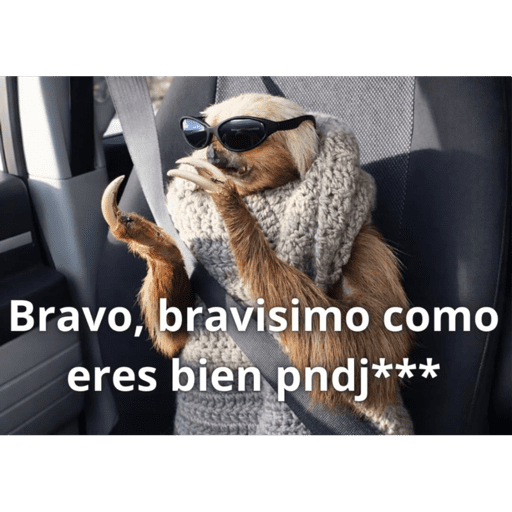 Jejeje 19