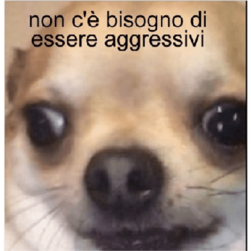 Meme 19