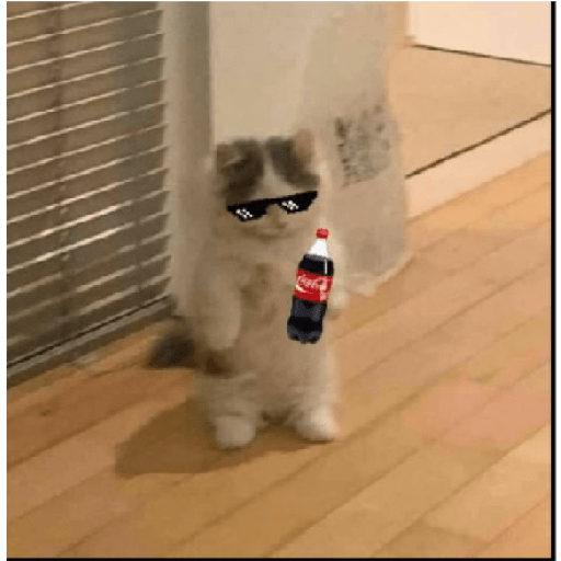 Meme 18