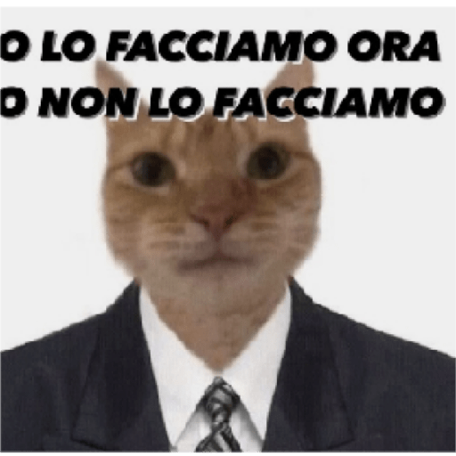 Meme 6
