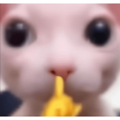 Shitpost 14