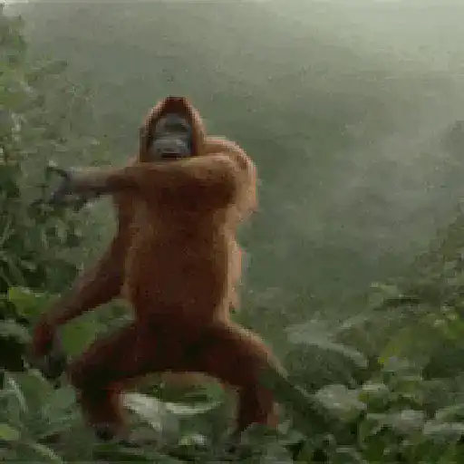 Monkey 21