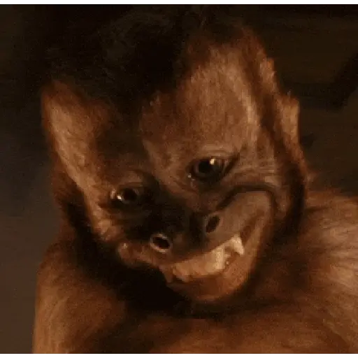 Monkey 20