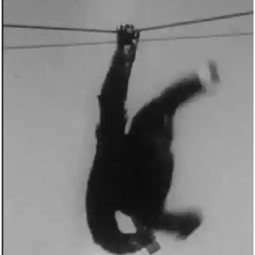 Monkey 13