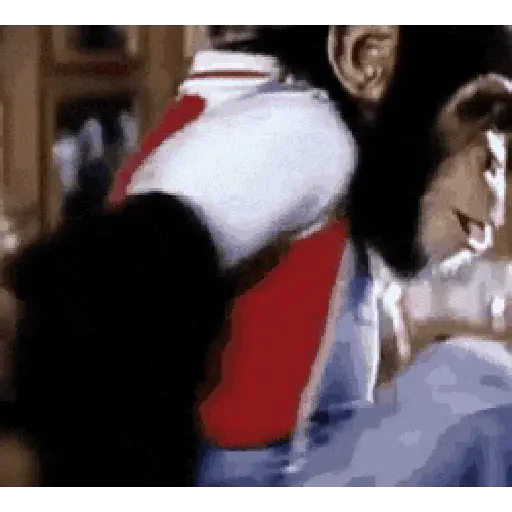 Monkey 7