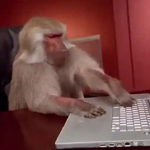 Monkey 4