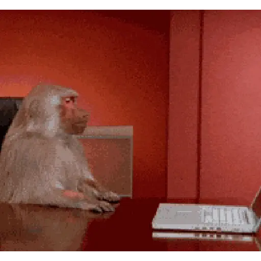 Monkey 3