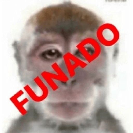Sticker 16