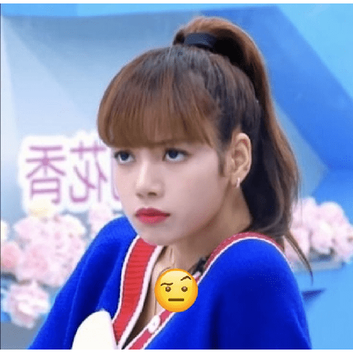 𝅄ׁ🌸 ໋ blackpink  ֪֪֪  ׄ ꒱ 8