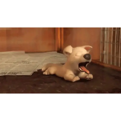 Dogs 9