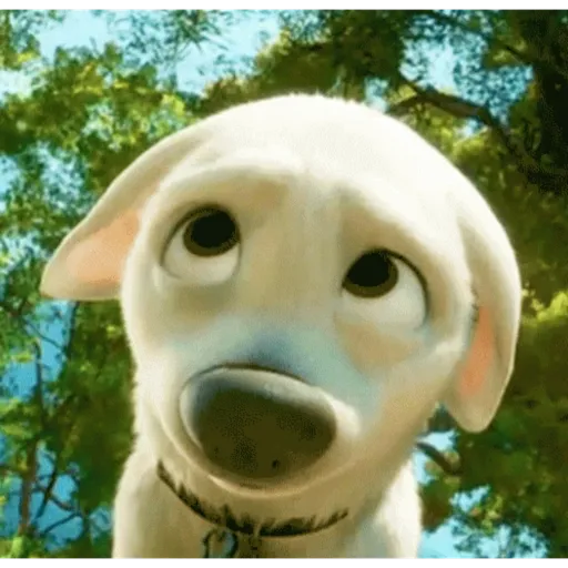 Dogs 10