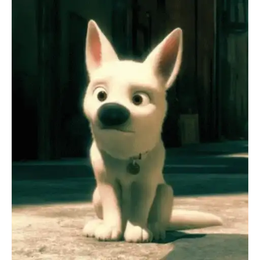 Dogs 8