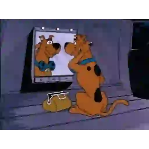 Dogs 4