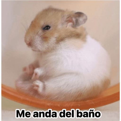 Mis pegatinas 23