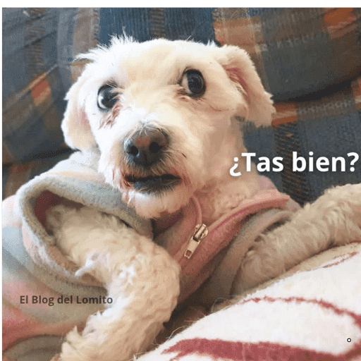 Mis pegatinas 24