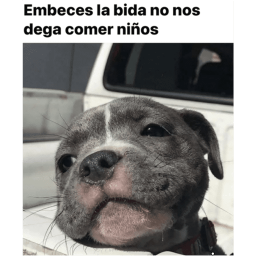 Mis pegatinas 9